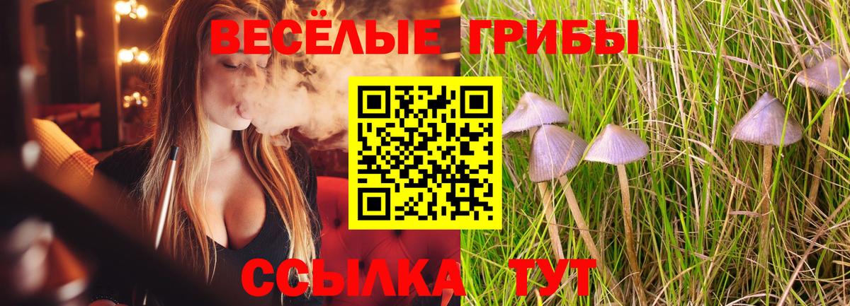 Карпинск  Галлюциногенные грибы Psilocybe  Вход с VPN 