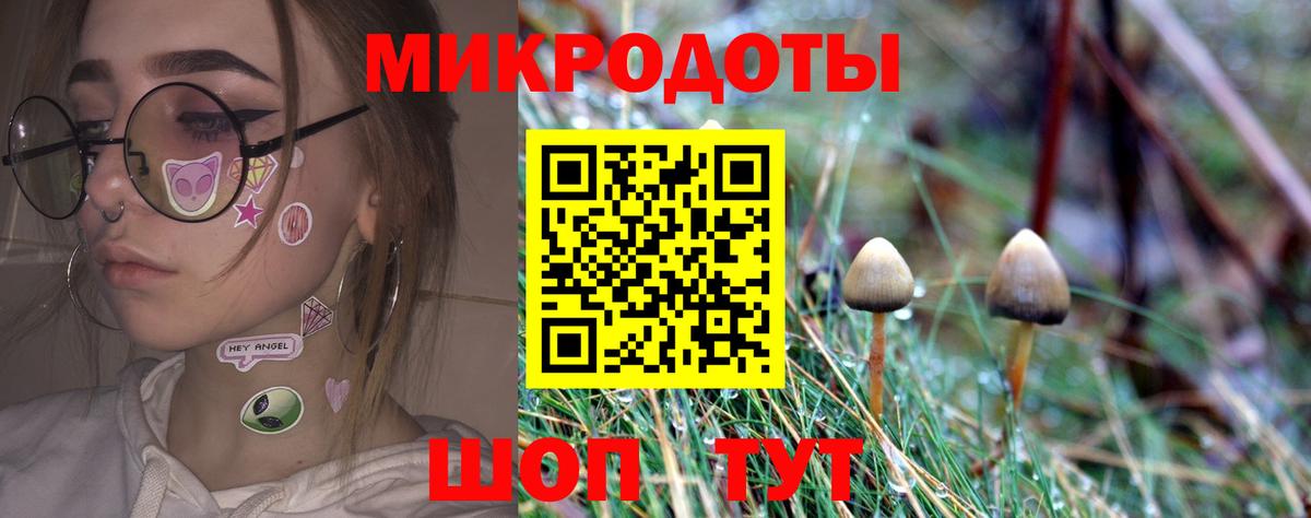 Псилоцибиновые грибы Magic Shrooms Карпинск